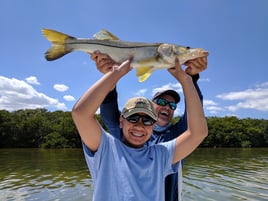 Tarpon Springs Special