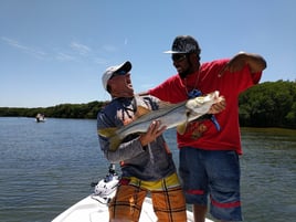 Tarpon Springs Special