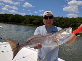 Tampa Bay Inshore Slam