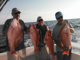 Clearwater Red Snapper Run