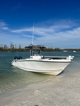 Marco Island Limits and Trophies