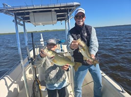 Lake Toho Bass Hook-Up