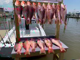 Red Snapper Fishing Trip
