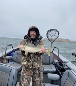 Whacking Walleye on the Columbia