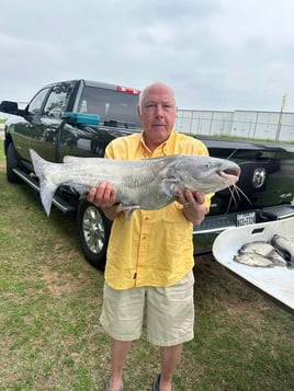 Big Ol' Flathead Catfish Catch