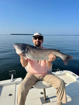 Big Ol' Flathead Catfish Catch