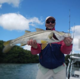 Snook Fishing in Tavernier, Florida