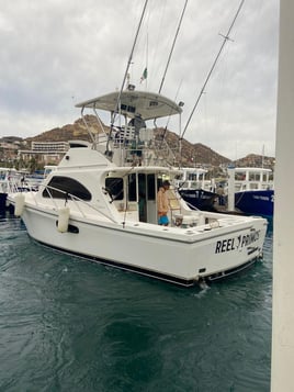 Cabo Offshore - 36'