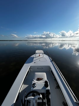 Redfish On The Fly
