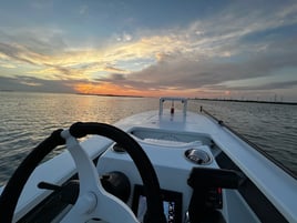 Redfish On The Fly