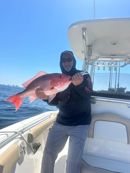 Panama City On Light Tackle