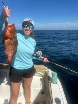 Panama City On Light Tackle