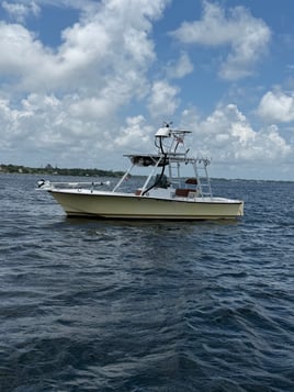Panama City On Light Tackle