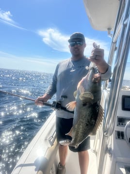 Panama City On Light Tackle