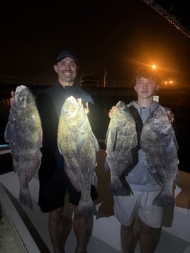 Nearshore/Inshore Madness