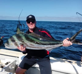 Stud Roosterfish and More