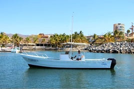 Punta Mita Roosterfish