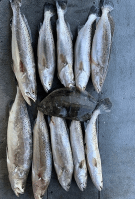 Corpus Bay Fishing Adventure