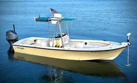 Tampa Bay Inshore Adventure