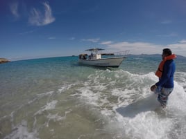 Fly Fishing Punta Mita