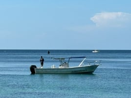 Punta Mita Deep Sea Fishing