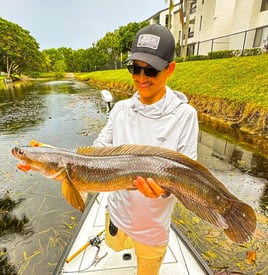 Canal Fishing for Peacock Bass