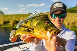 Peacock Bass Fishing in Delray Beach, Florida