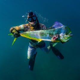 Blue Water Spearfishing Trip