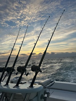 Big Game Shark Fishing