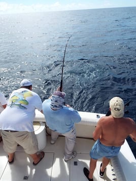 PCB Trolling and Bottom Fishing