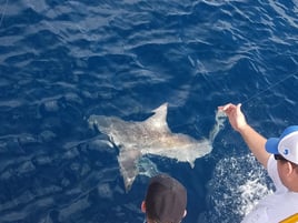 PCB Trolling and Bottom Fishing