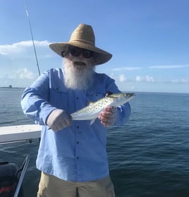 Pensacola Bay Fly Fishing