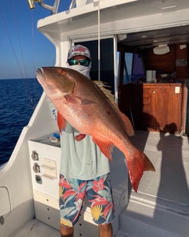 Riviera Beach Luxury Half Day