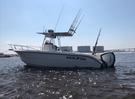 Kid's Fishing Trip - 26' Sea Fox