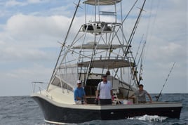 Nearshore and Jetties