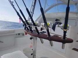 Key West Offshore Experience