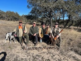 Austin, TX Quail Hunting