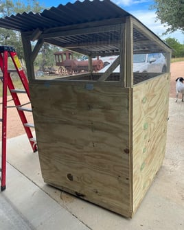 Austin, TX Quail Hunting