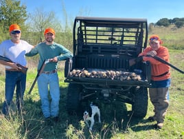 Austin, TX Quail Hunting