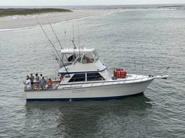 Orange Beach Half-Day Troll