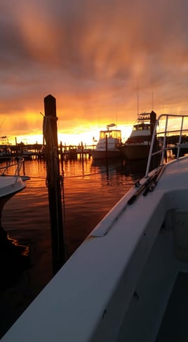 Orange Beach Half-Day Troll
