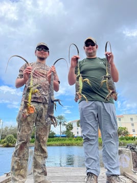 Delray Beach Exotics Airgun Hunt