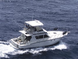 Deep-Sea In Blue Marlin Alley
