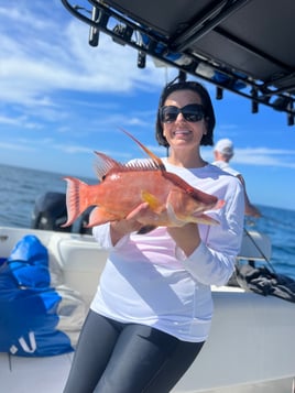 Clearwater Nearshore Fishing