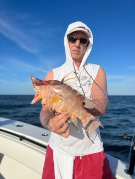 Clearwater Nearshore Fishing