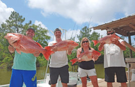 Federal Red Snapper Romp
