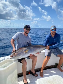Captain Daniel's Fish Frenzy