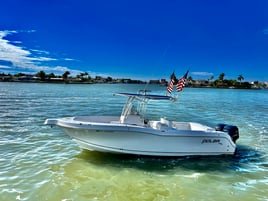 St. Pete Deep Water Bottomfishing