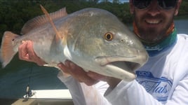 Clearwater Inshore Fishing