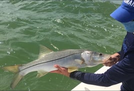 Clearwater Inshore Fishing